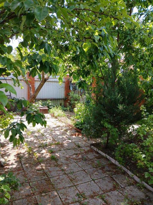 Квартира на вул. Кульпарківська в Львові, ID 283363, фото №6