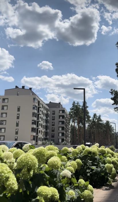 Квартира в Києві, ID 307449, фото №2