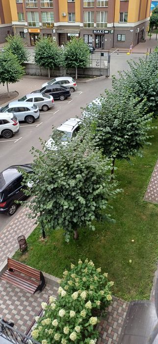 Квартира на ЖК Річ Таун в Києві, ID 284585, фото №20