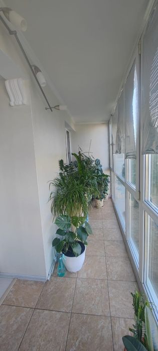 Квартира на вул. Київська в Києві, ID 305041, фото №17