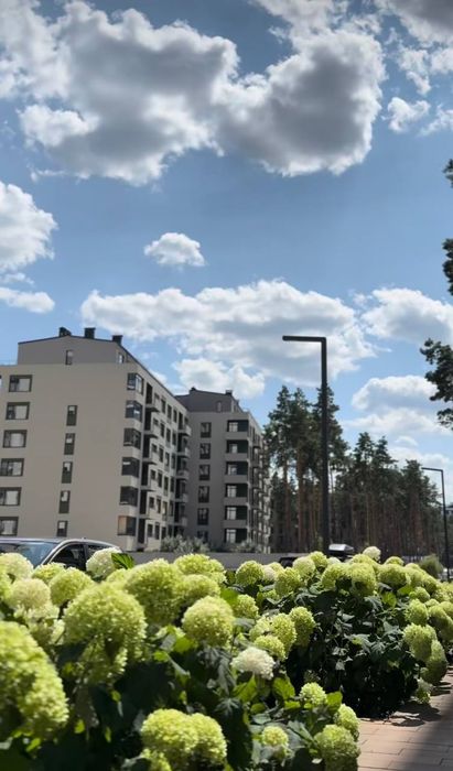 Квартира на Ірпінь в Києві, ID 289168, фото №2
