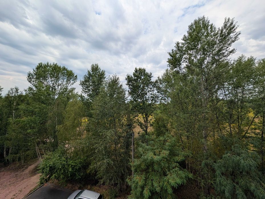 Квартира на ЖК «Лісовий» в Чернігові, ID 285680, фото №13