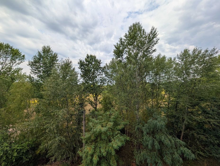 Квартира на ЖК «Лісовий» в Чернігові, ID 285680, фото №15