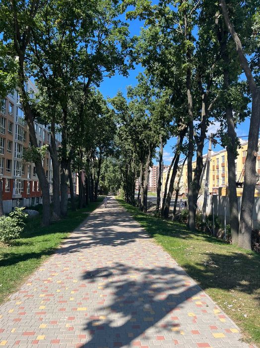 Квартира в Києві, ID 312876, фото №6