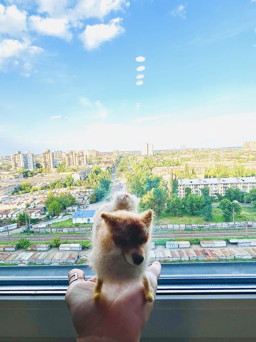 Квартира на ЖК Галактика в Київ, ID 287189, фото №1
