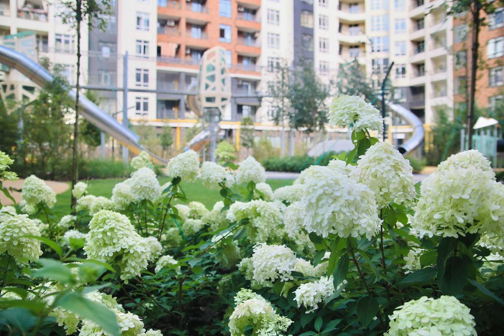 Квартира на вул. Нова, 42 в Києві, ID 287319, фото №4