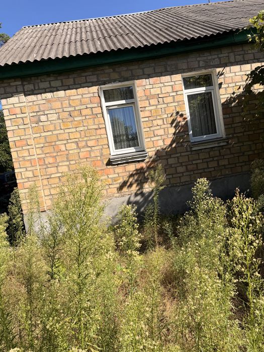 Квартира в Києві, ID 309424, фото №3