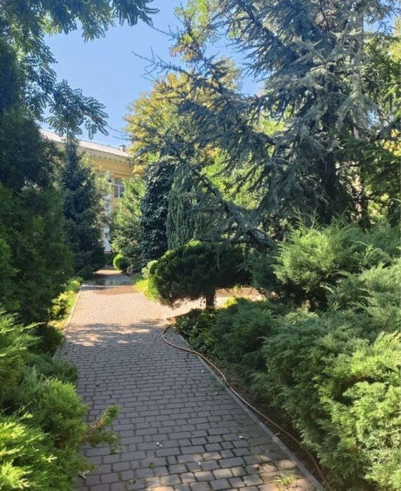 Квартира на Приморський в Одесі, ID 287413, фото №8