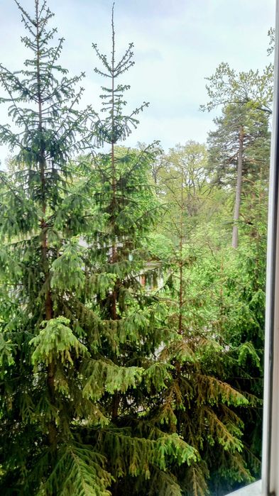 Квартира на Святошинський в Києві, ID 287955, фото №8