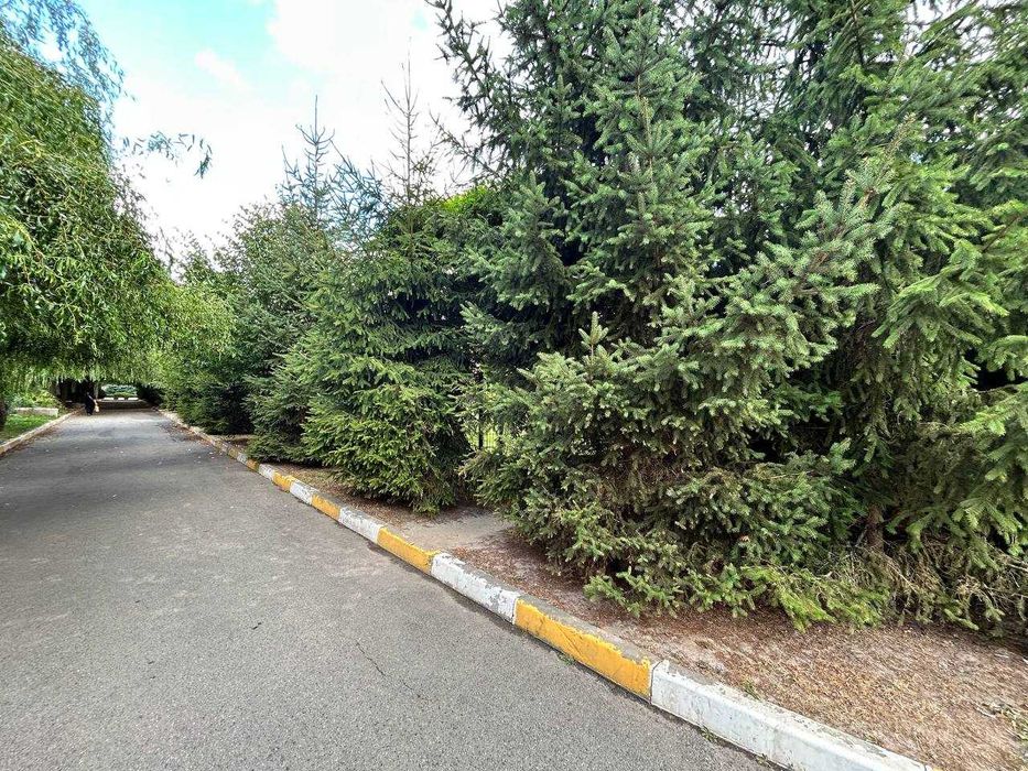 Квартира в Києві, ID 312450, фото №9