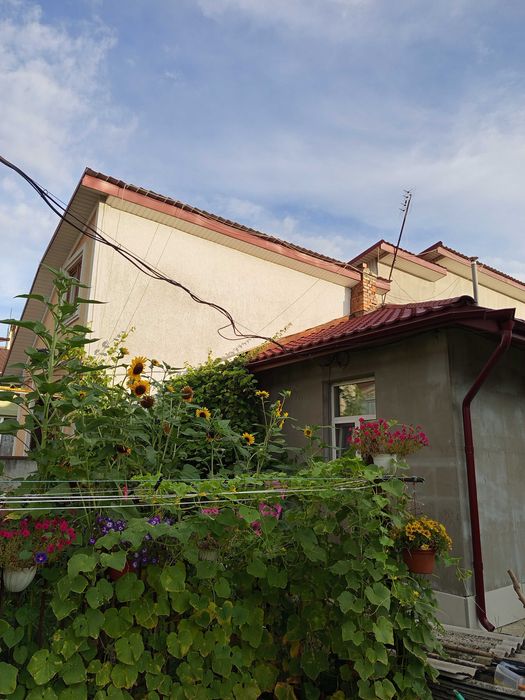 Квартира в Чернівці, ID 288612, фото №1