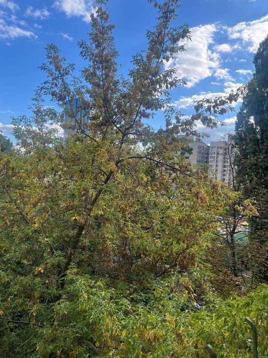 Квартира на вул. Велика Васильківська, 114 в Києві, ID 288727, фото №7