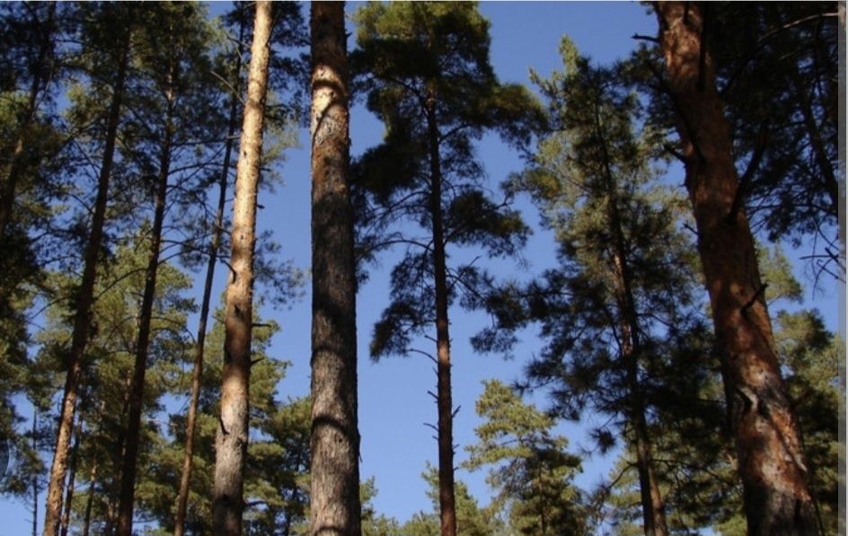 Квартира на ЖК Молодість в Києві, ID 288791, фото №12