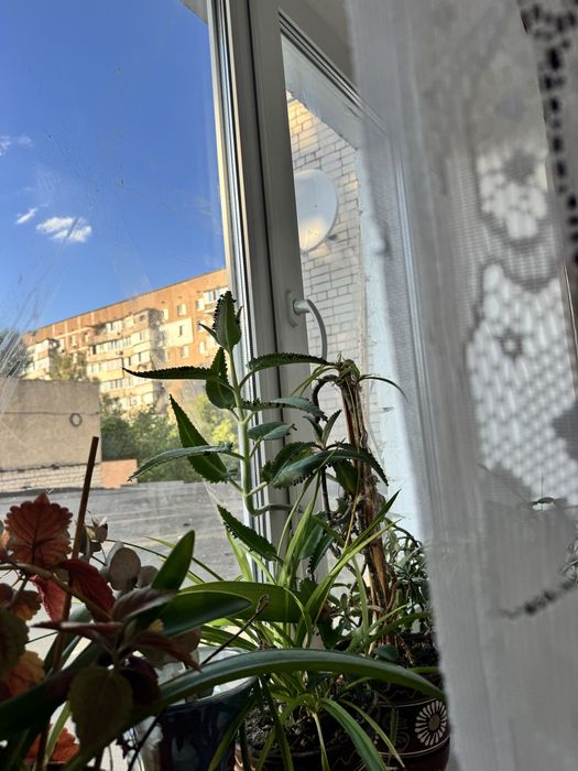 Квартира на бул. Шевченка, 403 в Черкасах, ID 288897, фото №21
