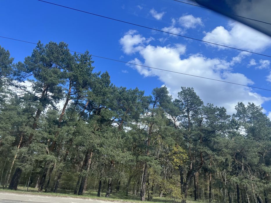 Квартира на Дарницький в Києві, ID 288929, фото №2