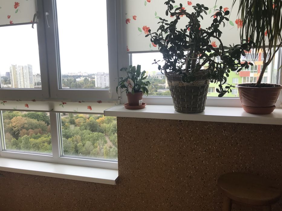 Квартира на Донця 2а в Києві, ID 289072, фото №1