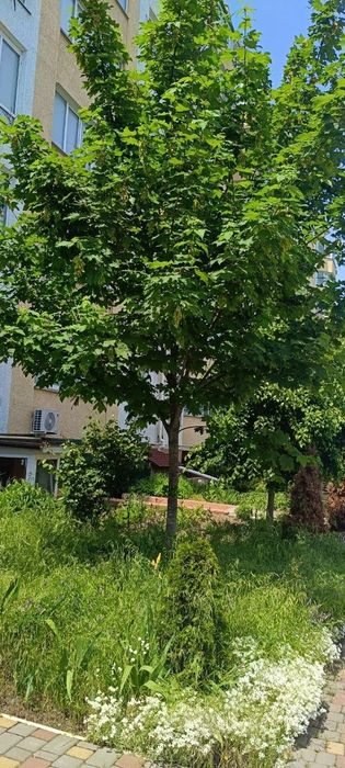 Квартира на ЖК «Маріїнський» в Одесі, ID 289122, фото №14