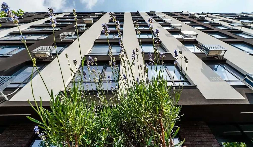 Квартира на ЖК Manhattan UP в Івано-Франківську, ID 289555, фото №17