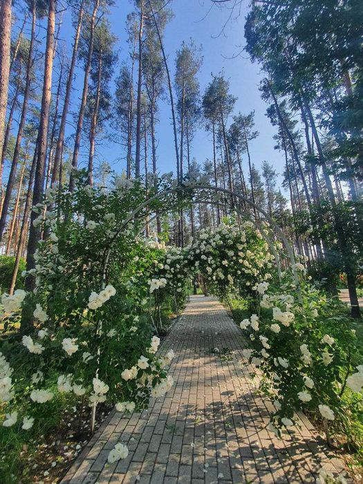 Квартира на ЖК "Sobornyi" в Києві, ID 305264, фото №21