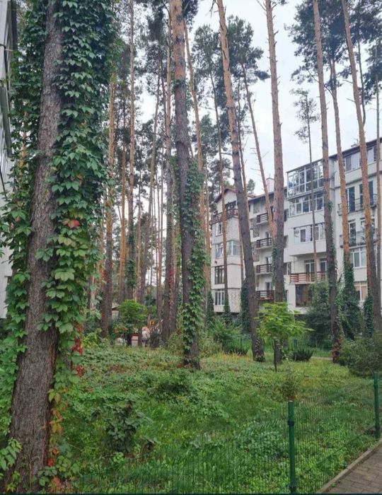 Квартира на Ірпінь в Київ, ID 294861, фото №3