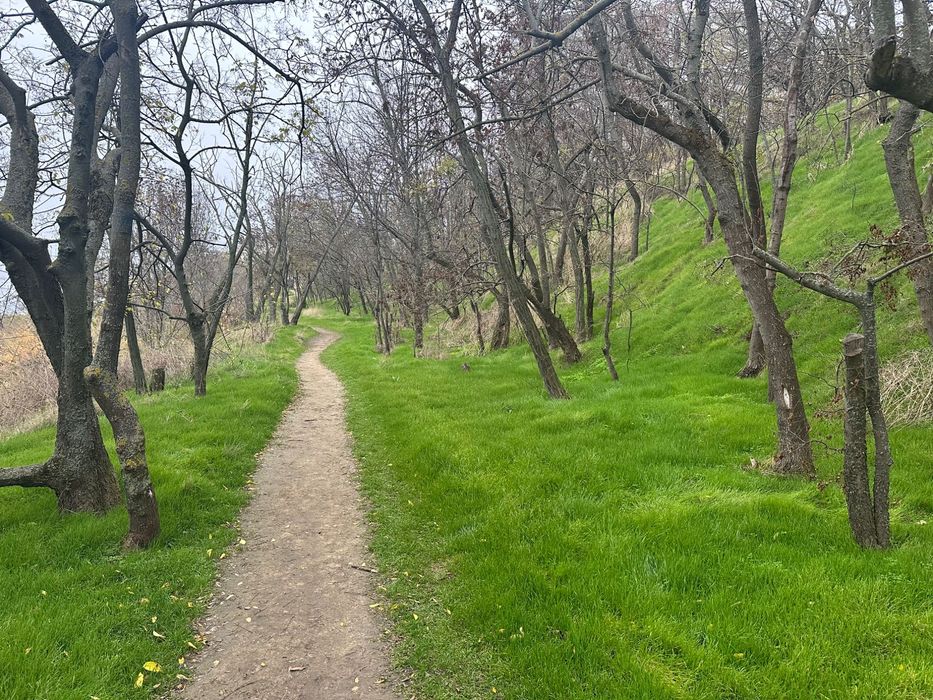 Квартира на Гринвуд в Одесі, ID 294213, фото №10