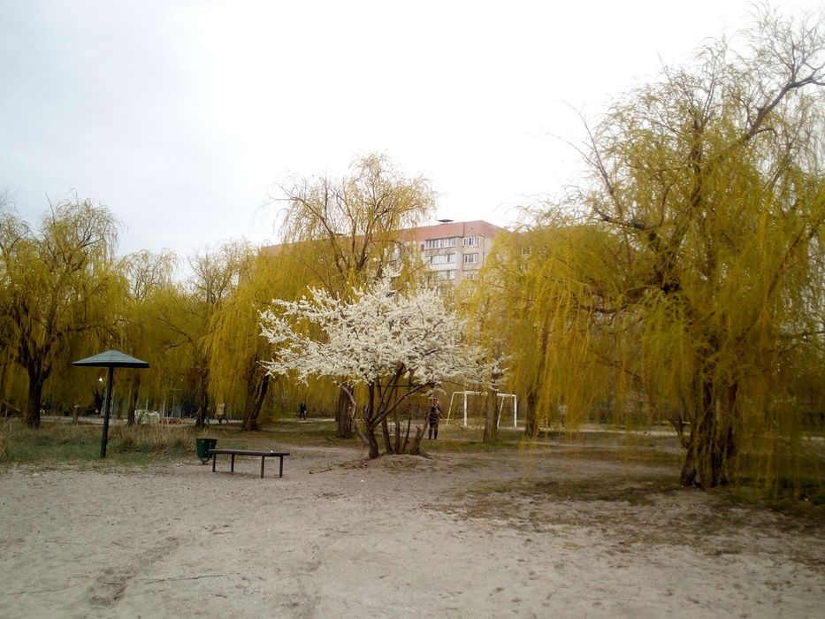Квартира на ЖК Рів'єра в Миколаєві, ID 294609, фото №4
