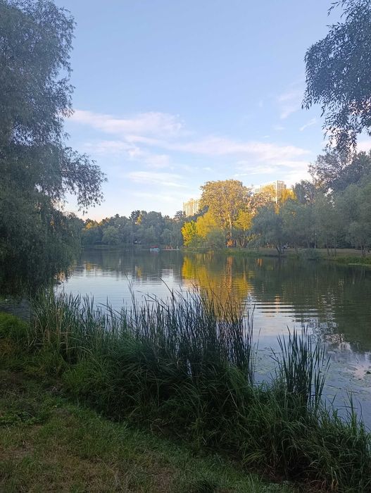 Квартира на вул. Воскресенська, 12В в Києві, ID 295932, фото №13