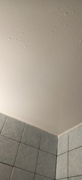 Квартира на вул. Ольжича в Київ, ID 296199, фото №2