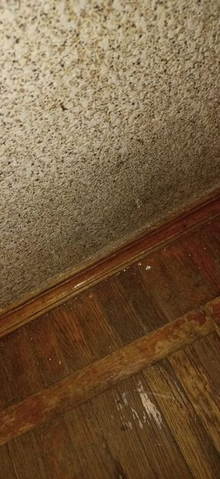 Квартира на вул. Ольжича в Київ, ID 296199, фото №3