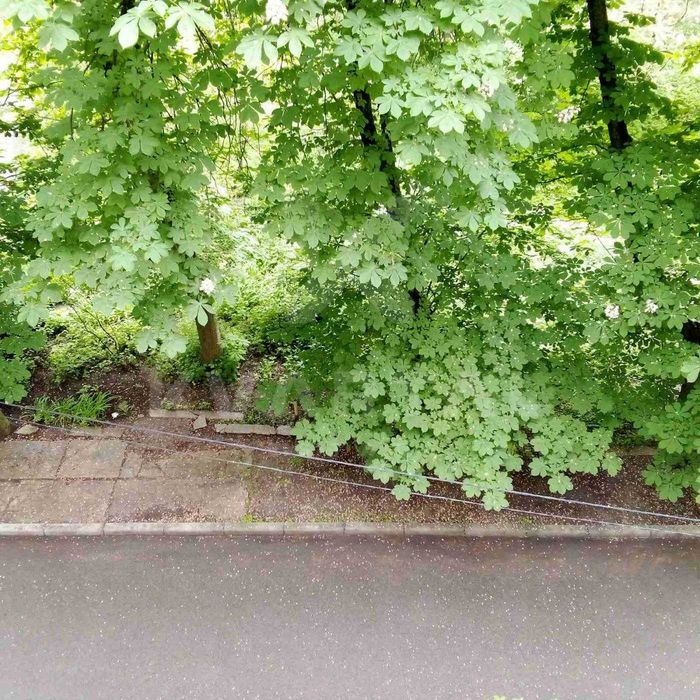 Квартира на вул. Академіка Туполєва в Києві, ID 296832, фото №21