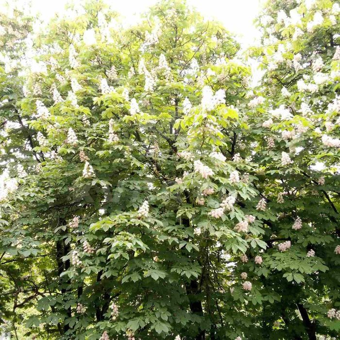 Квартира на вул. Академіка Туполєва в Києві, ID 296832, фото №22