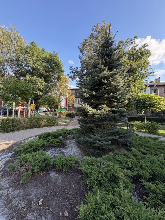 Квартира в Києві, ID 312020, фото №16