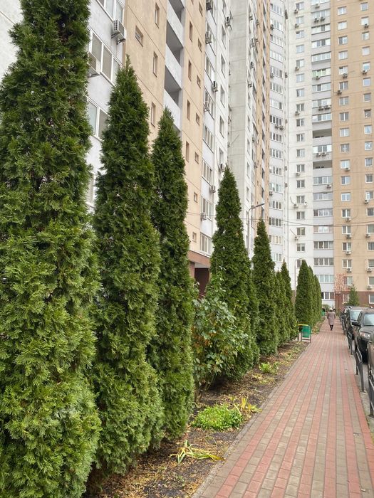 Квартира на вул. Урловська, 38 в Києві, ID 297822, фото №12