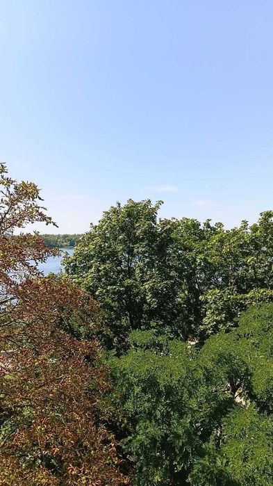 Квартира в Кременчуці, ID 300905, фото №9