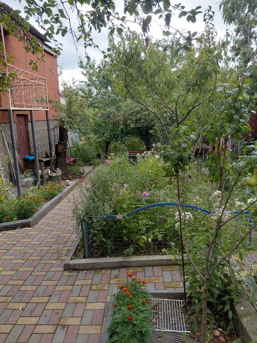 Квартира на вул. Кишиньовська, 14 в Києві, ID 301952, фото №2
