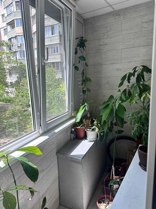 Квартира на вул. Шишкина в Одесі, ID 302161, фото №12