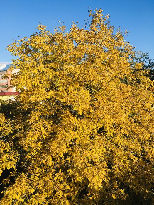 Квартира на вул. Південний бульвар в Івано-Франківську, ID 319171, фото №13
