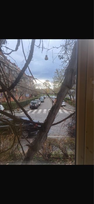 Квартира на вул. Довженко в Ужгород, ID 303385, фото №1