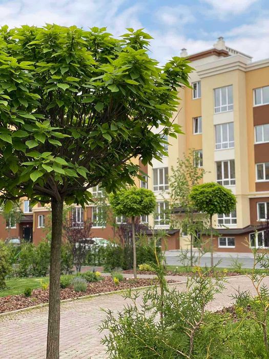 Квартира на ЖК Львівський Затишок в Києві, ID 303027, фото №1