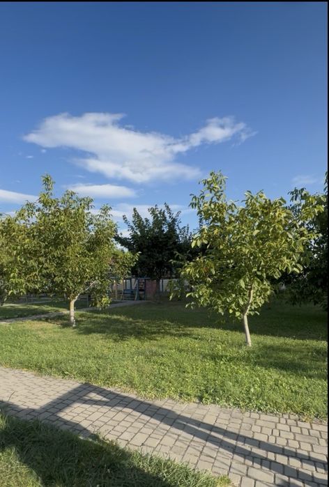 Квартира на вул. Шкільна, 79 в Києві, ID 312522, фото №6