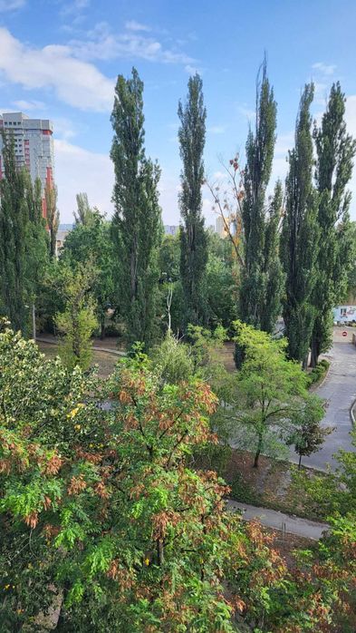Квартира на вул. Чорних Запорожців, 15-Б в Києві, ID 331911, фото №12