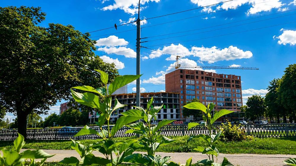 Квартира в Рівному, ID 314048, фото №7