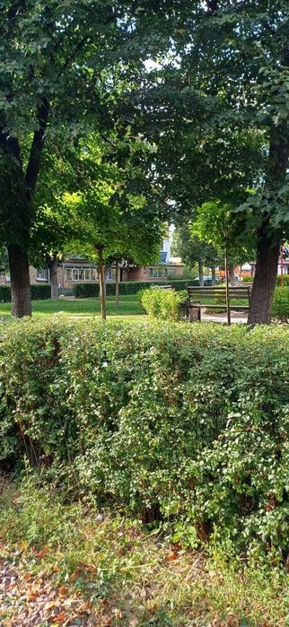 Квартира в Києві, ID 314542, фото №11