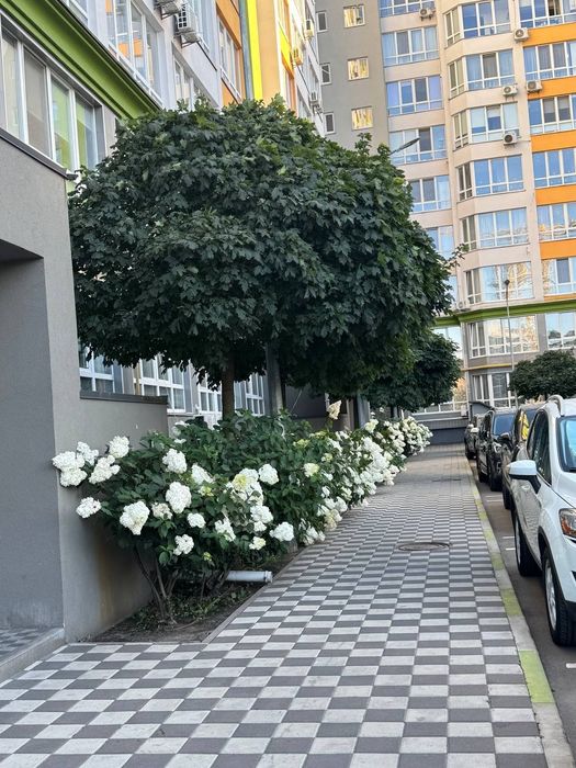 Квартира на ЖК Євромісто в Київ, ID 323974, фото №2