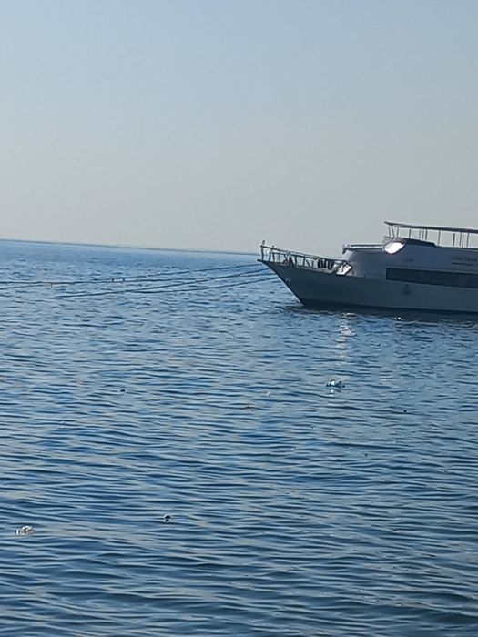 Квартира на Ель Карма аква бич резорт в Києві, ID 318240, фото №14