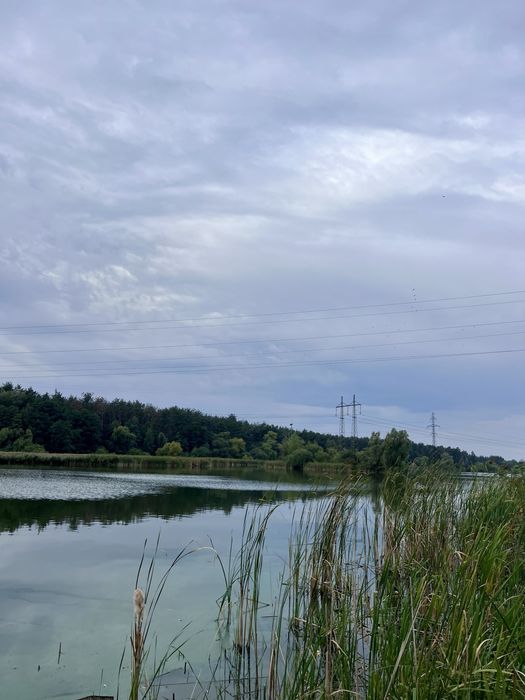 Квартира на вул. Ушакова Миколи, 14 в Києві, ID 345865, фото №13