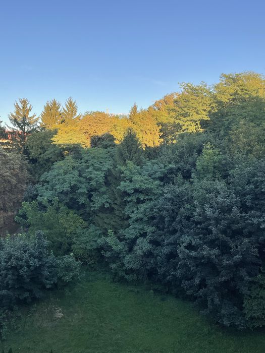 Квартира на вул. Бойківська, 1 в Львів, ID 314996, фото №2