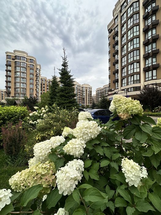 Квартира на вул. Радісна, 6 в Києві, ID 315111, фото №9
