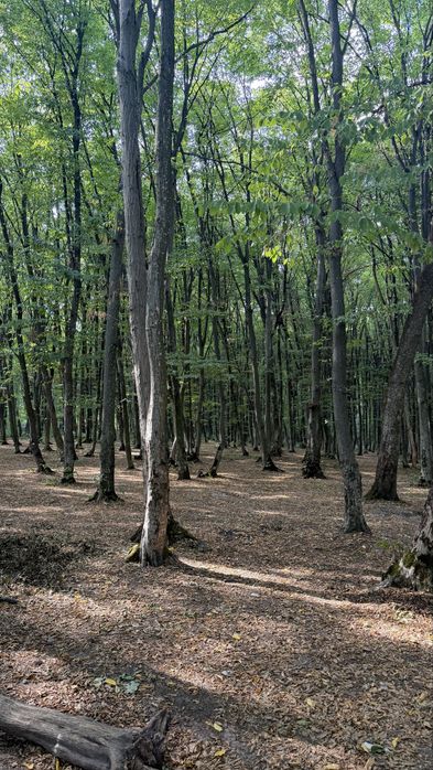Квартира в Хмельницький, ID 323236, фото №4