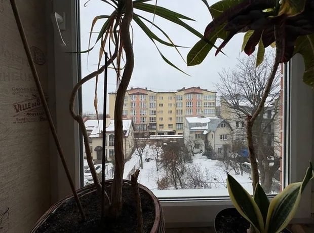 Квартира на вул. Галілея в Львові, ID 323194, фото №13
